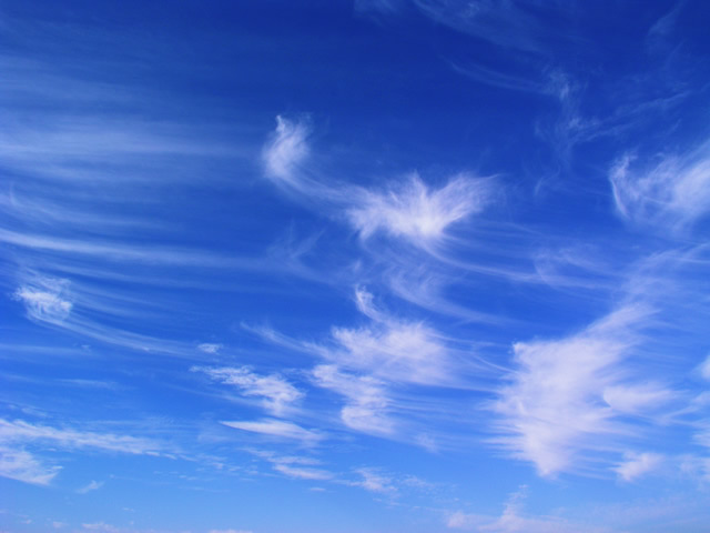 ホームページをリニューアルしました。